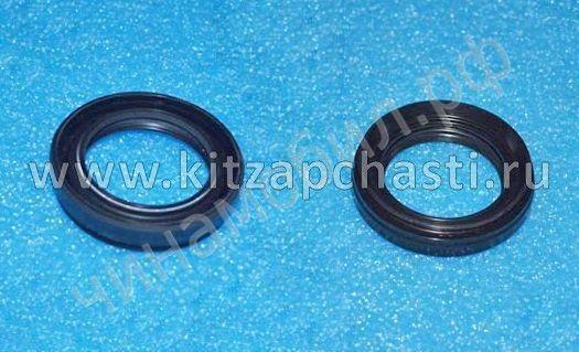 Сальник дифференциала cvt EXEED LХ FL 019CHA1502106