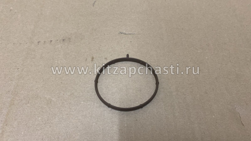 Прокладка дроссельной заслонки Livan X3 PRO 1016050725