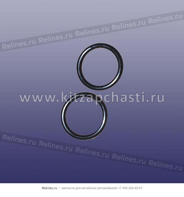 Кольцо уплотнительное бачка омывателя OMODA C7 607000111AA