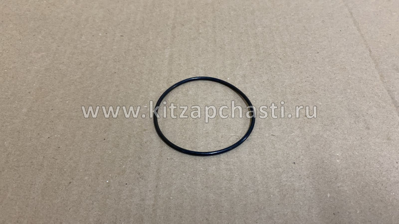Уплотнительное кольцо привода EXEED TXL FL 9009084561